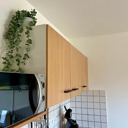 Mit Terrasse In Am Bodensee Διαμέρισμα Uberlingen